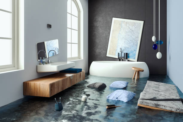Best Water damage contractors near me  in Porter, IN
