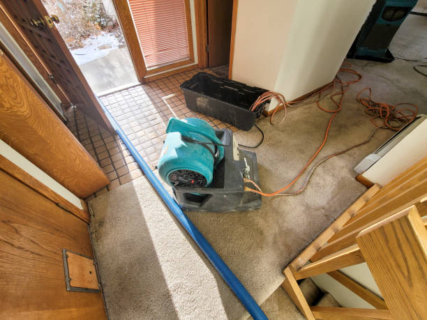 Best Sewage cleanup and water damage restoration  in Porter, IN