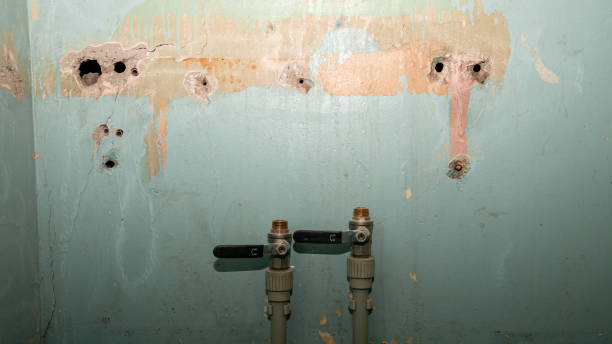 Best Flood damage cleanup  in Porter, IN